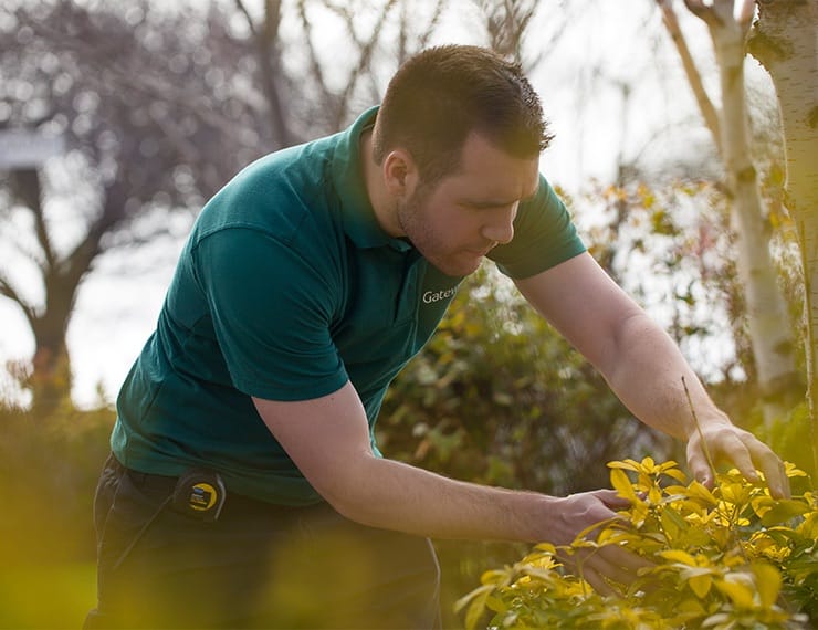 Gateway employee doing gardening maintenance