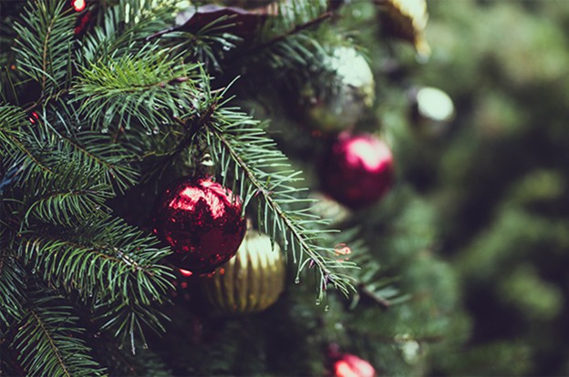 Christmas ball decoration hanging from tree