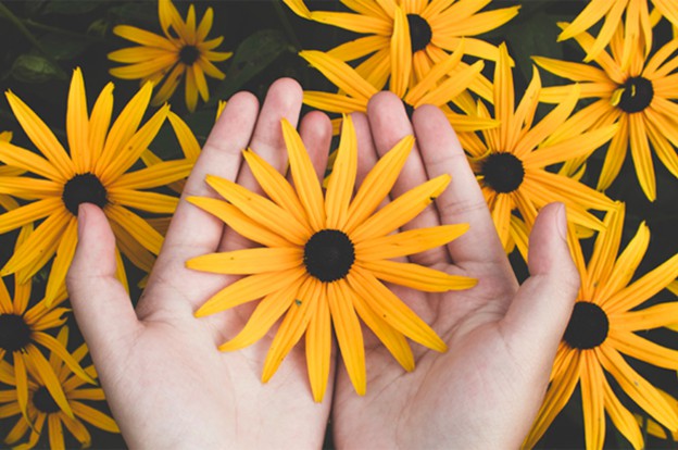 Hands holding flower