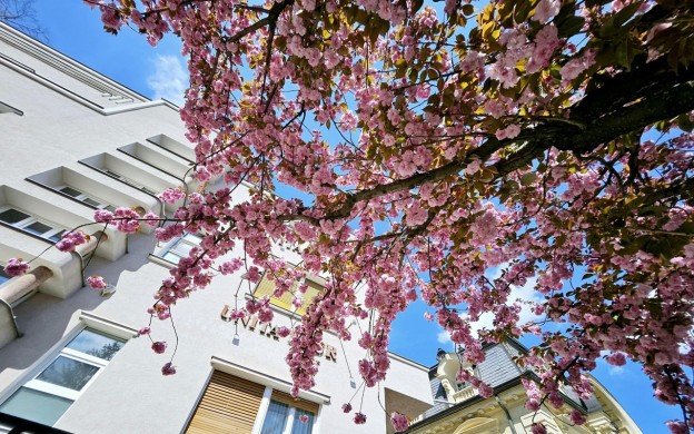 Exterior of Apartment buildng with trees
